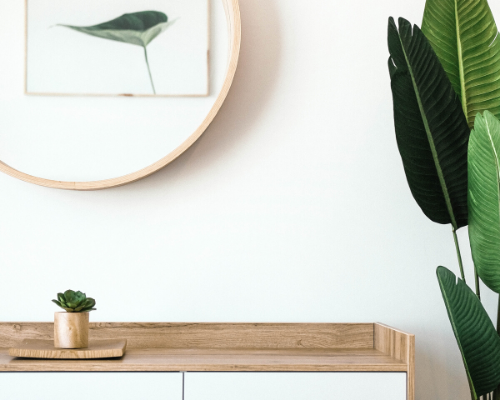 Mint Maids BiWeekly Cleaning Service