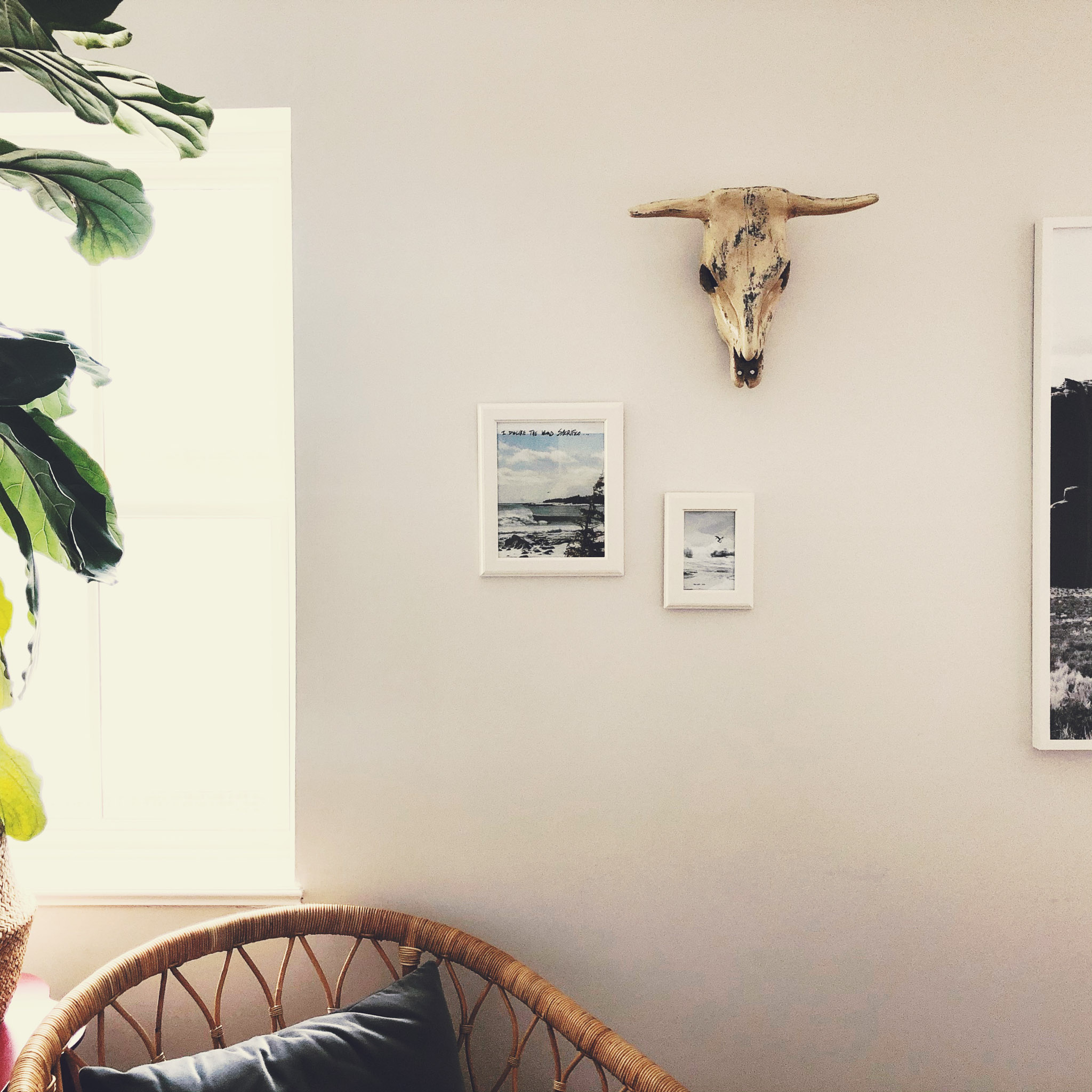 Mint Maids Home Cleaning for Sale, Move In Clean, Move Out Clean