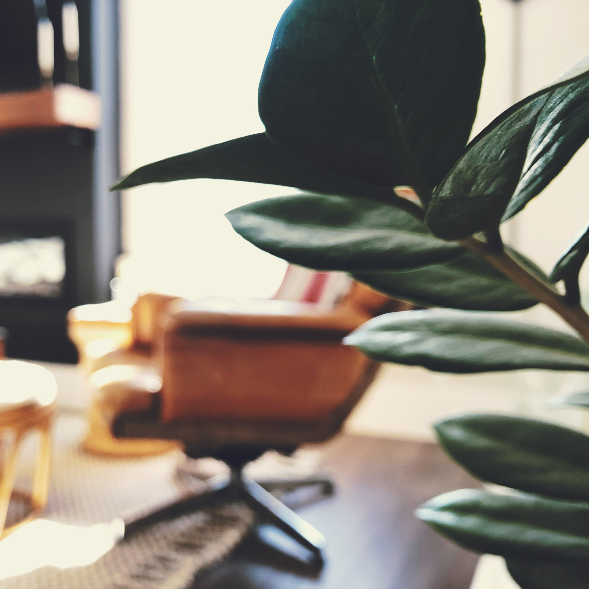 Mint Maids Bi-Weekly Home Cleaning