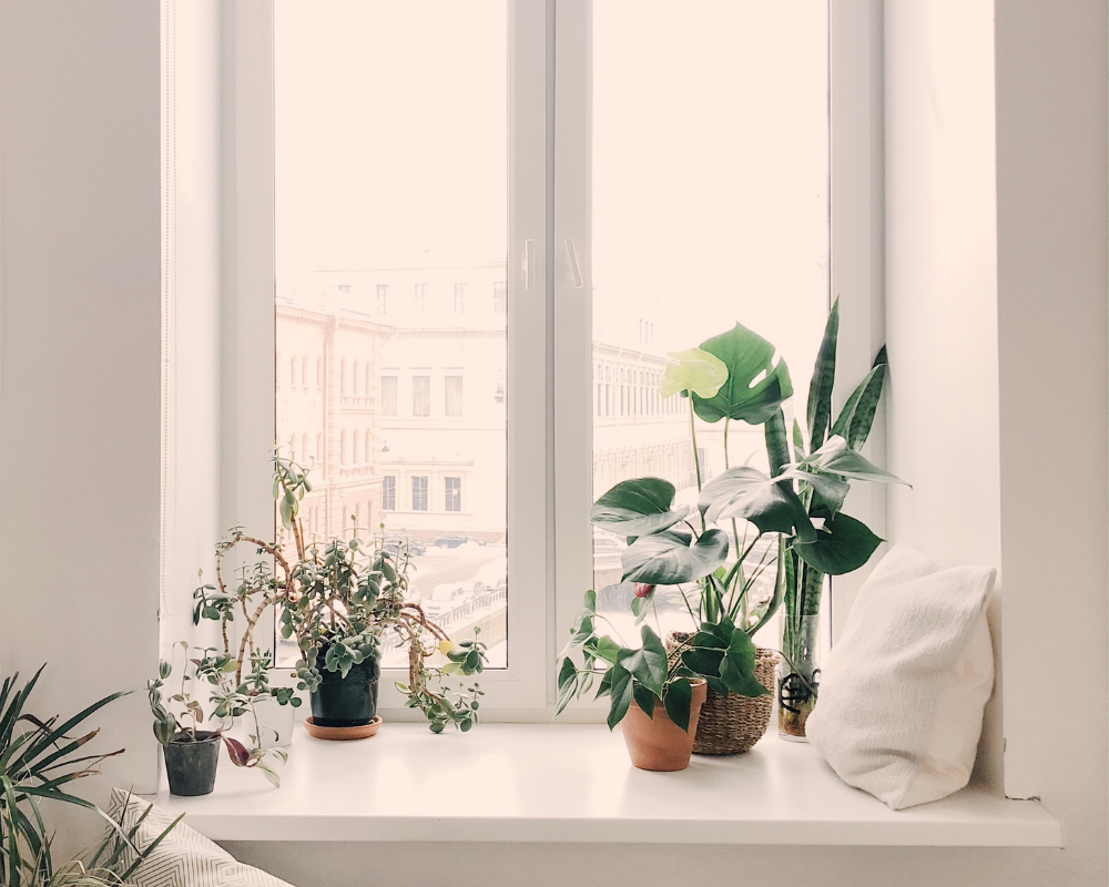 Mint Maids a Eco-Friendly Company